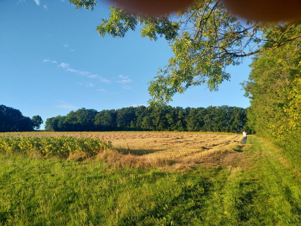 Haus Ringgau - Urlaub, Gemeinschaft Und Erlebnis Im Herzen Von Deutschland Herleshausen Buitenkant foto