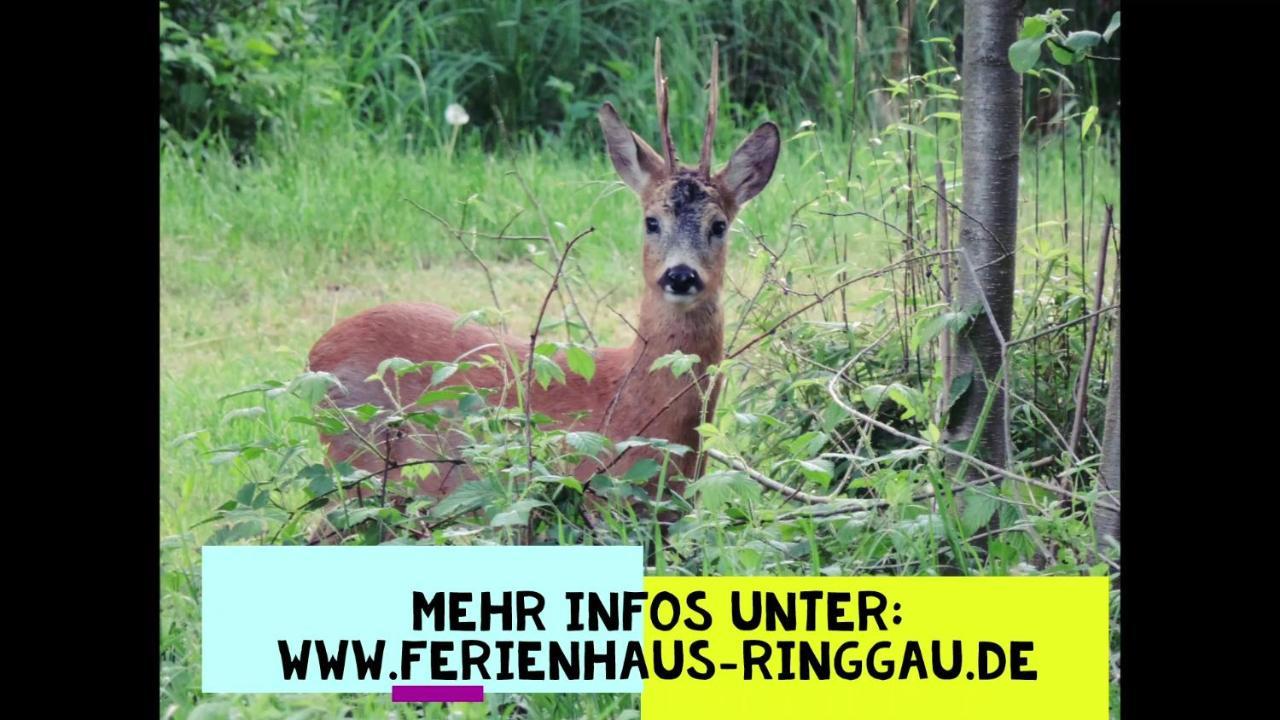 Haus Ringgau - Urlaub, Gemeinschaft Und Erlebnis Im Herzen Von Deutschland Herleshausen Buitenkant foto