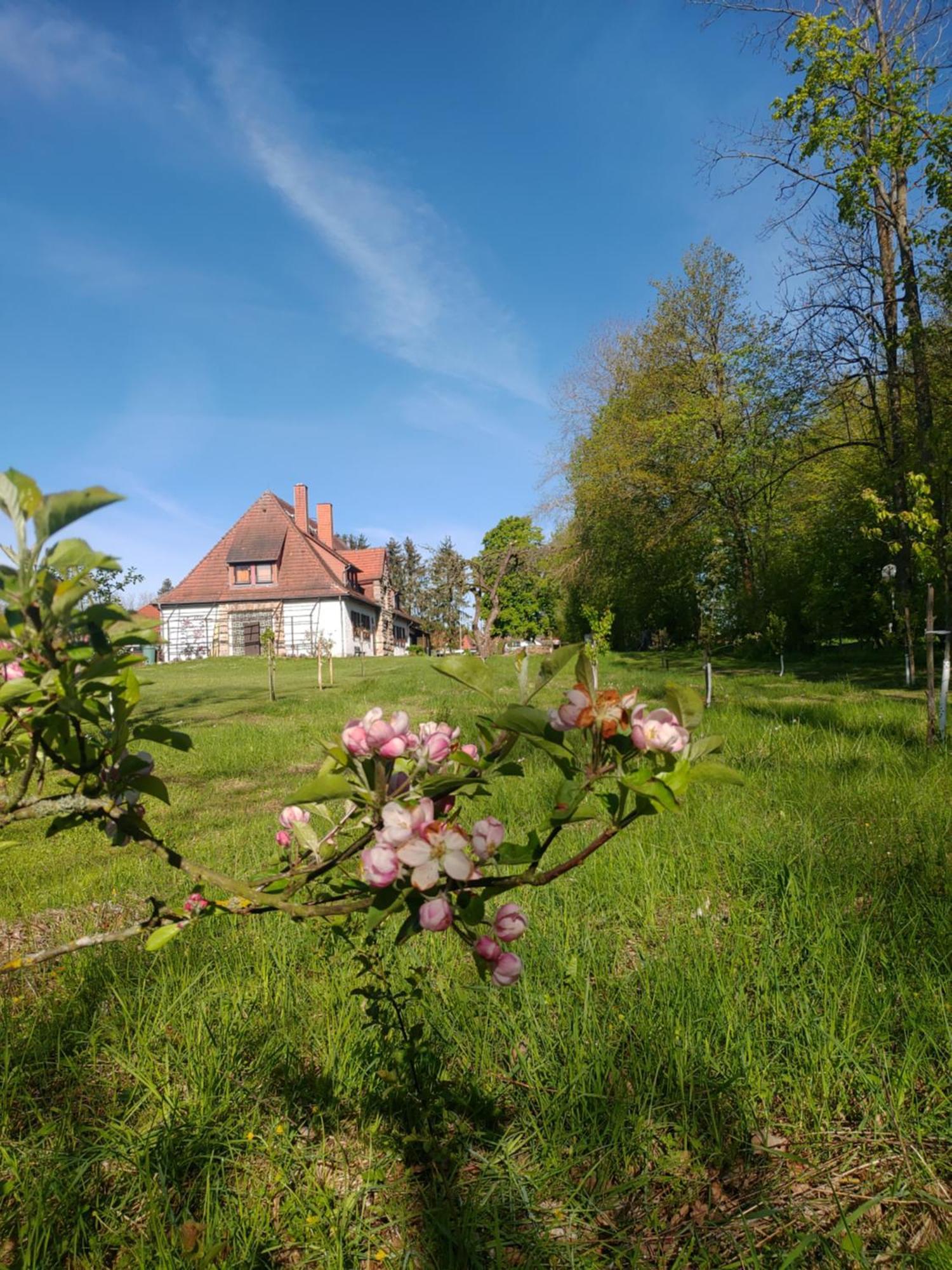 Haus Ringgau - Urlaub, Gemeinschaft Und Erlebnis Im Herzen Von Deutschland Herleshausen Buitenkant foto